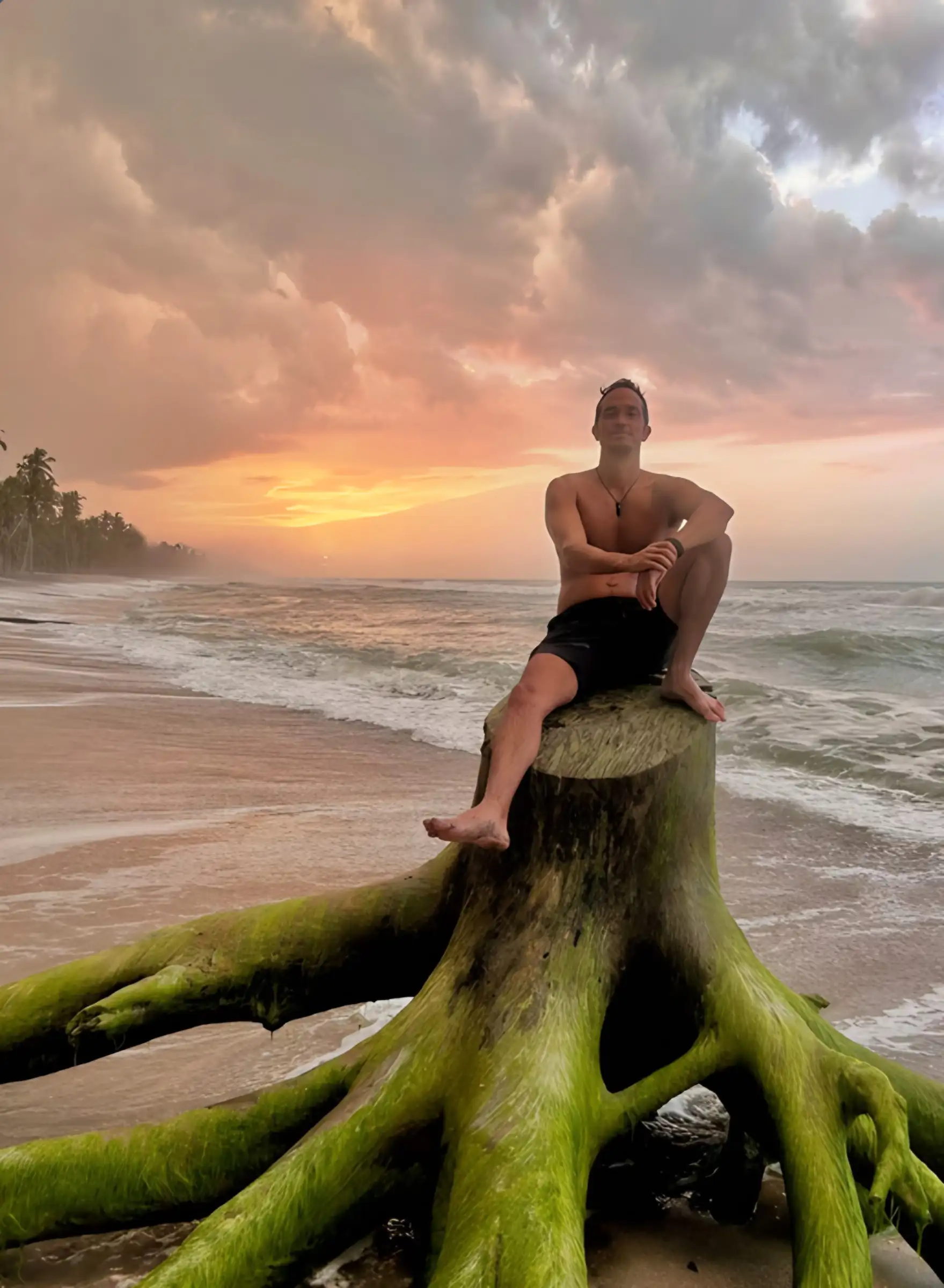 Un hombre sentado sobre un tronco de raíces cubiertas de musgo en la orilla de la playa, al atardecer.