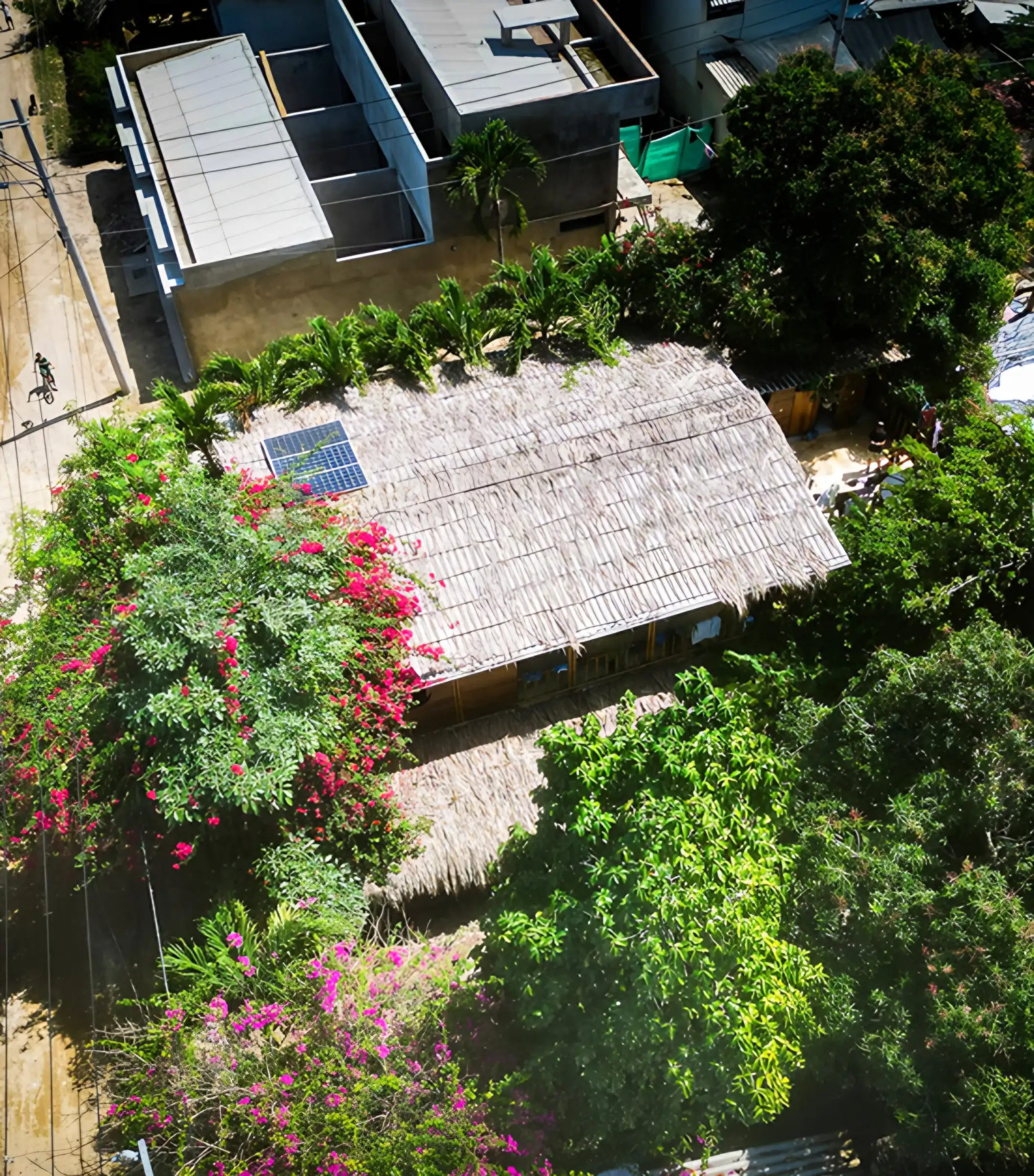 Vista aérea del techo de palma del hostal, con un panel solar, rodeado de veraneras fucsia y árboles altos.