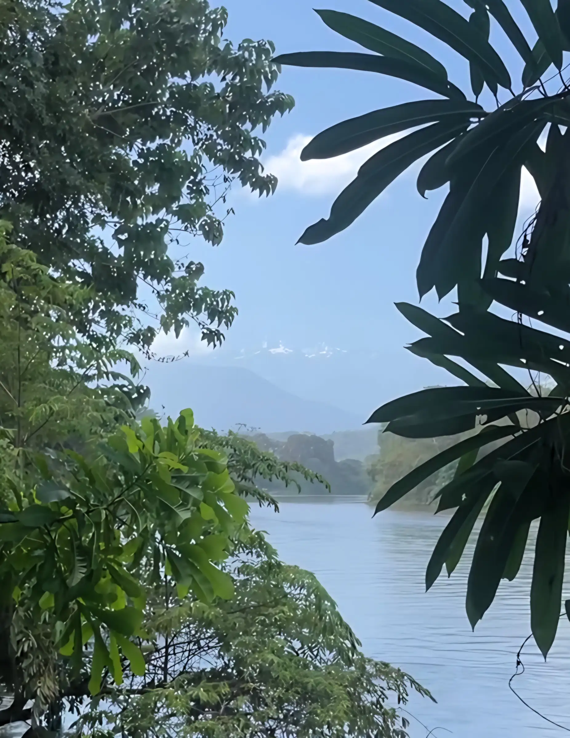 Un río ancho entre la selva, con los picos nevados de la Sierra Nevada a lo lejos.