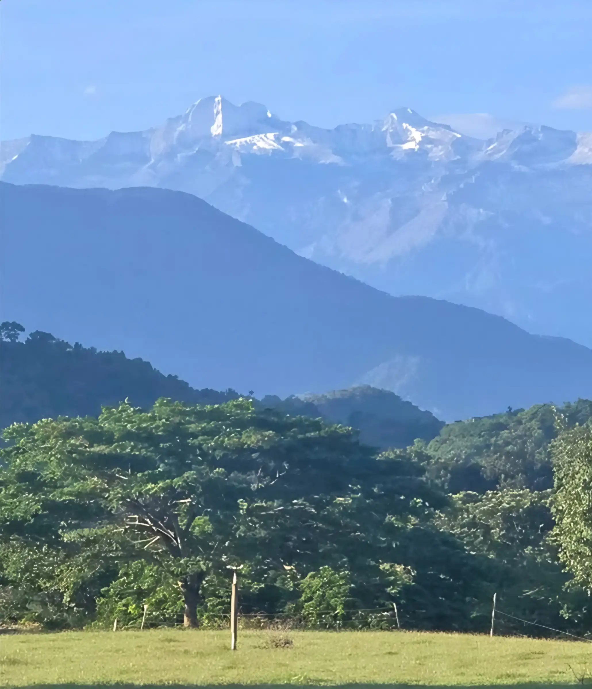 Los picos nevados de la Sierra Nevada de Santa Marta sobre montañas azules y un potrero verde con árboles.