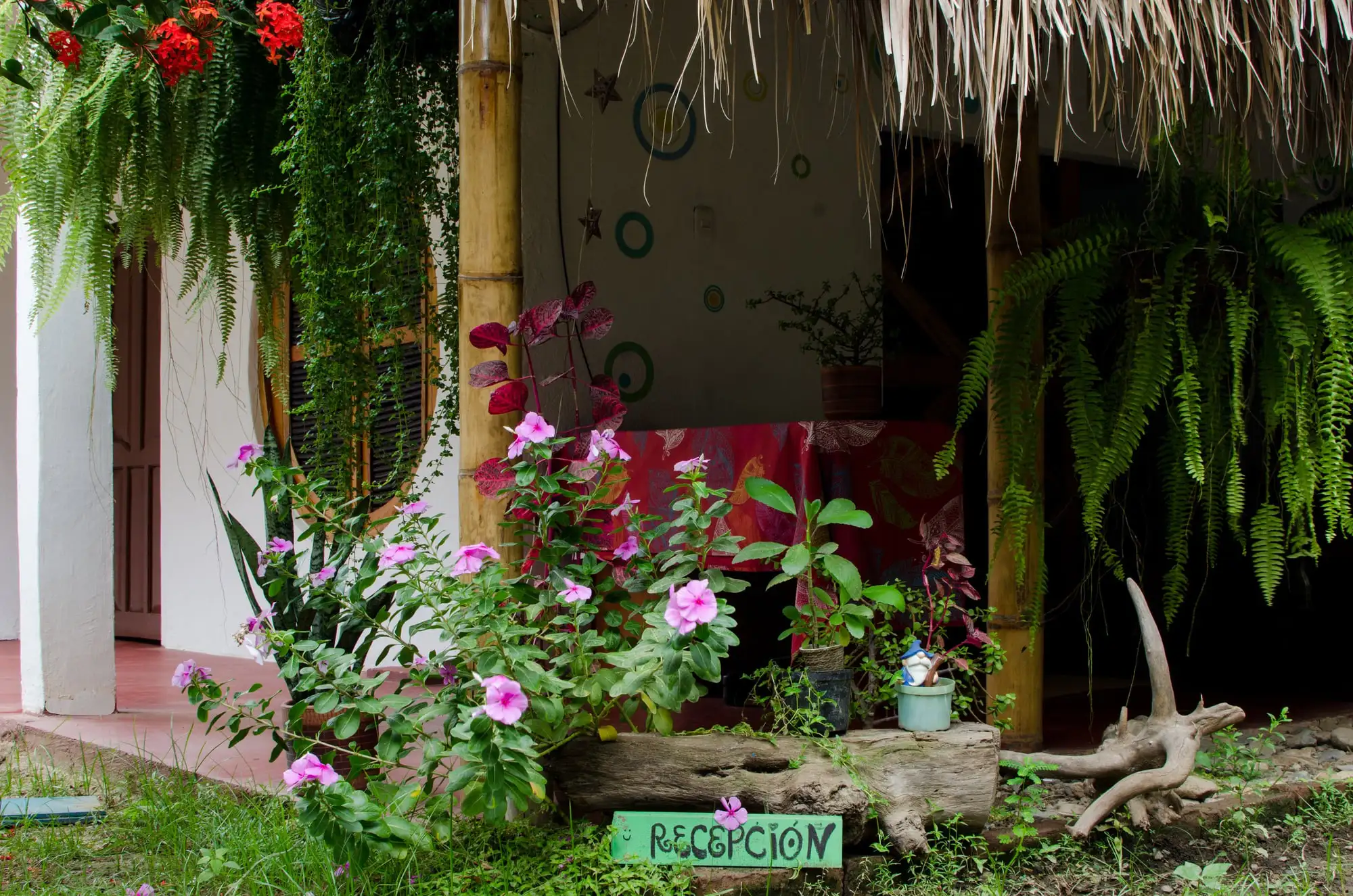 La recepción entre flores: un jardín con vincas rosadas, veranera, helechos y un letrero de madera que dice «Recepción».